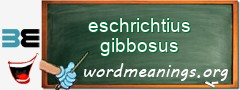 WordMeaning blackboard for eschrichtius gibbosus